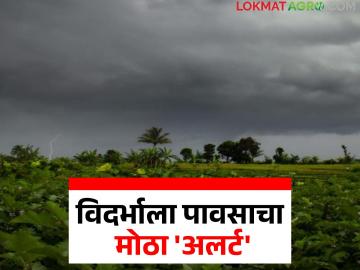 उपराजधानीत मुसळधार पावसाचा 'अलर्ट'; वाचा विदर्भातील कोणत्या भागात कोसळणार सर्वाधिक पाऊस - Marathi News | Heavy rain 'alert' in the sub-capital; Read which parts of Vidarbha will receive the most rain | Latest News at Lokmat.com उपराजधानीत मुसळधार पावसाचा 'अलर्ट'; वाचा विदर्भातील कोणत्या भागात कोसळणार सर्वाधिक पाऊस - Marathi News | Heavy rain 'alert' in the sub-capital; Read which parts of Vidarbha will receive the most rain | Latest News at Lokmat.com