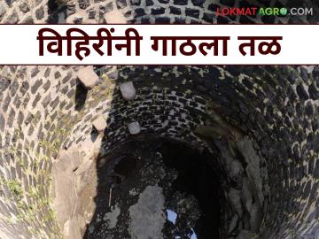 सोयगाव परिसरात विहिरींनी गाठला हिवाळ्यातच तळ; पिण्याचे पाणी, सिंचनाचा प्रश्न निर्माण होणार - Marathi News | Wells in Soygaon area reach bottom in winter; Drinking water, irrigation issues will arise | Latest News at Lokmat.com