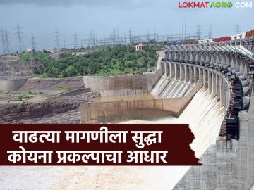 उष्णतेमुळे वाढलेल्या मागणीला सुद्धा पुरेसा विज पुरवठा करतोय 'कोयना जलविद्युत प्रकल्प' - Marathi News | Koyna Hydropower Project is supplying sufficient electricity even to meet the increased demand due to heat. | Latest News at Lokmat.com