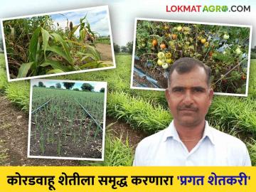 Farmer Success Story : मराठवाड्याच्या कोरडवाहू शेतीला सेंद्रिय जोड देत आधुनिक तंत्रज्ञानाने समृद्ध करणाऱ्या शेतकऱ्याची वाचा यशकथा - Marathi News | Farmer Success Story : Read the success story of a farmer who enriches the dryland agriculture of Marathwada with modern technology by adding organic matter | Latest News at Lokmat.com