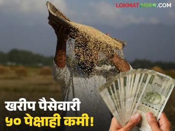 राज्याच्या 'या' जिल्ह्यातील तब्बल ९४२ गावांची खरीप पैसेवारी ५० पेक्षाही कमी; दुष्काळसदृश परिस्थिती - Marathi News | Kharif paise of 942 villages in 'Ya' district of the state is less than 50; drought-like situation | Latest News at Lokmat.com