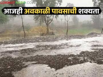 राज्यात आजही बरसणार अवकाळी; लवकरच तापमानात वाढ होण्याची शक्यता - Marathi News | Unseasonal rains will continue in the state today; Temperatures are likely to rise soon | Latest News at Lokmat.com राज्यात आजही बरसणार अवकाळी; लवकरच तापमानात वाढ होण्याची शक्यता - Marathi News | Unseasonal rains will continue in the state today; Temperatures are likely to rise soon | Latest News at Lokmat.com