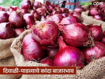 दिवाळी पाडव्याचे कांदा बाजार भाव; वाचा अहिल्यानगर, नाशिक, पुणे कुठे मिळतोय किती दर - Marathi News | Onion market prices for Diwali Padwa; Read where to get it, Ahilyanagar, Nashik, Pune, and what is the price | Latest News at Lokmat.com दिवाळी पाडव्याचे कांदा बाजार भाव; वाचा अहिल्यानगर, नाशिक, पुणे कुठे मिळतोय किती दर - Marathi News | Onion market prices for Diwali Padwa; Read where to get it, Ahilyanagar, Nashik, Pune, and what is the price | Latest News at Lokmat.com