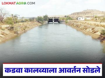 रब्बी पिकांसाठी कडवा कालव्याला आवर्तन सोडले; भोजापूर धरणातून देखील आवर्तन - Marathi News | Circulation of Kadwa Canal allowed for Rabi crops; Circulation also from Bhojapur Dam | Latest News at Lokmat.com रब्बी पिकांसाठी कडवा कालव्याला आवर्तन सोडले; भोजापूर धरणातून देखील आवर्तन - Marathi News | Circulation of Kadwa Canal allowed for Rabi crops; Circulation also from Bhojapur Dam | Latest News at Lokmat.com