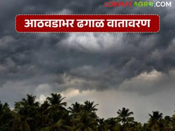 तापमान आणखी एक किंवा दोन डिग्रीने खालावण्याची शक्यता; आठवडाभर ढगाळ वातावरण - Marathi News | Temperatures likely to drop by another one or two degrees; cloudy weather throughout the week | Latest News at Lokmat.com तापमान आणखी एक किंवा दोन डिग्रीने खालावण्याची शक्यता; आठवडाभर ढगाळ वातावरण - Marathi News | Temperatures likely to drop by another one or two degrees; cloudy weather throughout the week | Latest News at Lokmat.com