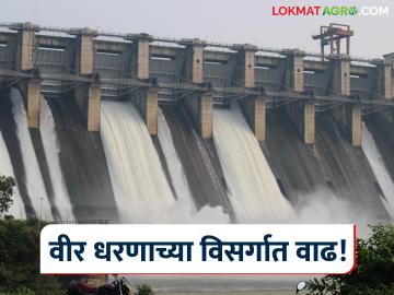 पावसाची संततधार सुरूच असल्याने वीर धरणातून सोडण्यात येणाऱ्या विसर्गात मोठी वाढ - Marathi News | As the continuous rain continues, there is a huge increase in the discharge from Veer Dam. | Latest News at Lokmat.com पावसाची संततधार सुरूच असल्याने वीर धरणातून सोडण्यात येणाऱ्या विसर्गात मोठी वाढ - Marathi News | As the continuous rain continues, there is a huge increase in the discharge from Veer Dam. | Latest News at Lokmat.com
