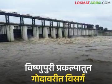 चारच दिवसात विष्णुपुरी प्रकल्प पूर्ण क्षमतेने भरला; विसर्ग सुरू केल्याने नदीकाठच्या गावांना सतर्कतेचा इशारा - Marathi News | Vishnupuri project filled to full capacity in four days; Warning issued to villages along the riverbanks as discharge begins | Latest News at Lokmat.com