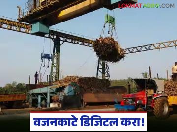 येणाऱ्या गळीत हंगामापासून वजनकाटे डिजिटल करा; राजू शेट्टी यांची वैधमापन विभागाकडे मागणी - Marathi News | Make weighing scales digital from the coming harvesting season; Raju Shetty's demand to the Measurement Department | Latest News at Lokmat.com