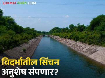 विदर्भातील सिंचन अनुशेष २०२७ पर्यंत संपणार; मुख्य सचिव सुजाता सौनिक यांचे हायकोर्टात प्रतिज्ञापत्र - Marathi News | Irrigation backlog in Vidarbha to be cleared by 2027; Chief Secretary Sujata Saunik's affidavit in the High Court | Latest News at Lokmat.com