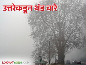 Weather Update : उत्तरेकडून थंड वारे; गारठा वाढला ग्रामीण भागात कडाका - Marathi News | Weather Update: Cold winds from the north; Cold weather has increased in rural areas | Latest News at Lokmat.com