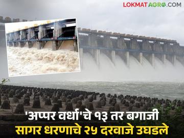 अप्पर वर्धा धरणाची १३ तर बगाजी सागर धरणाचे २५ दरवाजे उघडले; वर्धा नदीपात्रात मोठा विसर्ग सुरू - Marathi News | 13 gates of Upper Wardha Dam and 25 gates of Bagaji Sagar Dam opened; Large discharge into Wardha river basin begins | Latest News at Lokmat.com