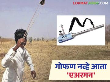 पिकांच्या राखणीसाठी गोफण नव्हे तर आता एअरगनचा वापर वाढला; शेतशिवारात फटाक्यांचा आवाज - Marathi News | The use of airguns not gofan for protecting crops has increased; the sound of firecrackers on the farm edges | Latest News at Lokmat.com