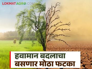 Climate Change : हवामान बदलाचा परिणाम; गहू, तांदूळ महाग होईल सोबत पाण्याची टंचाईही येणार - Marathi News | Climate Change: Impact of climate change; Wheat, rice will become expensive and there will also be water shortage | Latest News at Lokmat.com