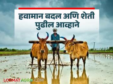 हवामान बदल आणि शेती पुढील आव्हाने; जाणून घ्या यावरील शाश्वत उपाय - Marathi News | Climate change and agriculture: Next challenges; learn about sustainable solutions | Latest News at Lokmat.com
