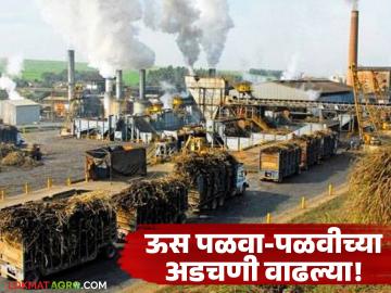 सीमाभागातील कारखान्यांच्या अडचणी वाढल्या; कर्नाटकातील साखर हंगाम होणार उद्यापासून सुरू - Marathi News | Problems of factories in border areas increase; Sugar season in Karnataka to start from tomorrow | Latest News at Lokmat.com सीमाभागातील कारखान्यांच्या अडचणी वाढल्या; कर्नाटकातील साखर हंगाम होणार उद्यापासून सुरू - Marathi News | Problems of factories in border areas increase; Sugar season in Karnataka to start from tomorrow | Latest News at Lokmat.com