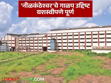 नीळकंठेश्वर कारखान्याने यशस्वीपणे पूर्ण केले दीड लाख मेट्रिक टन ऊस गाळपाचे उद्दिष्ट - Marathi News | Neelkantheshwar factory successfully completes target of crushing 1.5 lakh metric tonnes of sugarcane | Latest News at Lokmat.com नीळकंठेश्वर कारखान्याने यशस्वीपणे पूर्ण केले दीड लाख मेट्रिक टन ऊस गाळपाचे उद्दिष्ट - Marathi News | Neelkantheshwar factory successfully completes target of crushing 1.5 lakh metric tonnes of sugarcane | Latest News at Lokmat.com