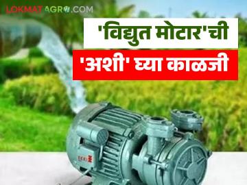 तुमची सिंचन मोटार सुद्धा वारंवार जळते का? मग 'हे' उपाय करा आणि मोटारचे आयुष्य वाढवा - Marathi News | Does your irrigation motor also burn out frequently? Then take 'this' solution and extend the life of the motor | Latest News at Lokmat.com