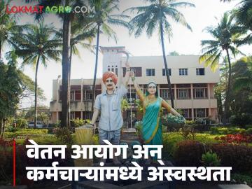 'सातव्या वेतन'वरून राज्यातील 'या' बाजार समितीचे कर्मचारी अस्वस्थ; वाचा काय आहे प्रकरण - Marathi News | Employees of 'Ya' market committee in the state are upset over 'seventh salary'; Read what's the matter | Latest News at Lokmat.com