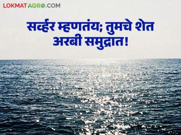 ई-पीक नोंदणी करायची कशी? ऑनलाइन सर्व्हर म्हणतंय, तुमचे शेत अरबी समुद्रात! - Marathi News | How to register for e-Peak? The online server says, your farm is in the Arabian Sea! | Latest News at Lokmat.com