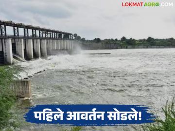 मोठ्या पाठपुराव्यानंतर अखेर विष्णुपुरी प्रकल्पातून रब्बीसाठी पहिल्या आवर्तनाचे पाणी सोडले - Marathi News | After much back-and-forth, the first round of water for Rabi season has finally been released from the Vishnupuri project. | Latest News at Lokmat.com