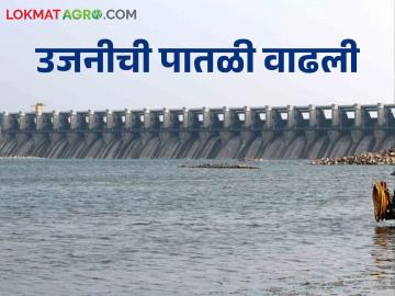 Ujani Dam उजनी ८ टक्क्यांनी वाढले, किती टीएमसी पाणी आले - Marathi News | Ujani Dam Ujani increased by 8 percent, how much TMC water came | Latest News at Lokmat.com