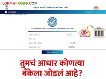 तुमचं आधार बँक खात्यासोबत लिंक आहे की नाही? हे कळेल आता तुमच्या मोबाईलवर वाचा सविस्तर - Marathi News | Is your Aadhaar linked with your bank account or not? now check on your mobile Read in detail | Latest News at Lokmat.com