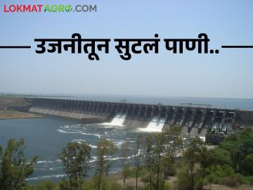 सोलापूर जिल्ह्यातील शेतकऱ्यांसाठी गुड न्यूज.. उजनीतून आजपासून पाणी सोडणार - Marathi News | Good news for the farmers of Solapur district.. Water will be released from Ujani from today | Latest News at Lokmat.com