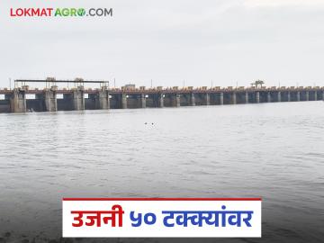 Ujani Dam Water Level : अखेर उजनी ५० टक्के भरले; धरणात किती टीएमसी पाणीसाठा? - Marathi News | Ujani Dam Water Level : Finally Ujani is 50 percent full; How many TMC of water is stored in the dam? | Latest News at Lokmat.com