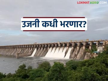 Ujani Dam Water Level : उजनी धरण भरण्यास अजून किती टीएमसी पाण्याची आवश्यकता? - Marathi News | Ujani Dam Water Level : How many more TMC of water is required to fill Ujani Dam? | Latest News at Lokmat.com Ujani Dam Water Level : उजनी धरण भरण्यास अजून किती टीएमसी पाण्याची आवश्यकता? - Marathi News | Ujani Dam Water Level : How many more TMC of water is required to fill Ujani Dam? | Latest News at Lokmat.com