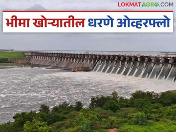 Ujani Dam Update : भीमा खोऱ्यातील सर्व धरणे भरली; उजनीची पाणी साठवण क्षमता पूर्ण झाली - Marathi News | Ujani Dam Update : All dams in Bhima Valley filled; Ujani dam water storage capacity completed | Latest News at Lokmat.com Ujani Dam Update : भीमा खोऱ्यातील सर्व धरणे भरली; उजनीची पाणी साठवण क्षमता पूर्ण झाली - Marathi News | Ujani Dam Update : All dams in Bhima Valley filled; Ujani dam water storage capacity completed | Latest News at Lokmat.com