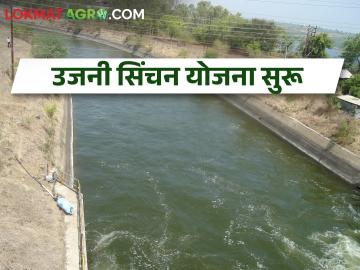 उजनी उपसा सिंचन योजनेचा पहिला टप्पा सुरू - Marathi News | First phase of Ujani dam lift Irrigation Scheme started | Latest News at Lokmat.com