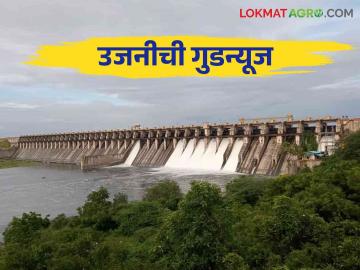 Ujani Dam Update: उजनीची खुशखबर धरण आज प्लसमध्ये येणार वाचा सविस्तर - Marathi News | Ujani Dam Update: The good news of Ujani Dam will be in Plus today, read in detail | Latest News at Lokmat.com Ujani Dam Update: उजनीची खुशखबर धरण आज प्लसमध्ये येणार वाचा सविस्तर - Marathi News | Ujani Dam Update: The good news of Ujani Dam will be in Plus today, read in detail | Latest News at Lokmat.com