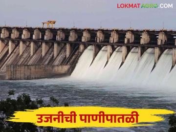 Ujani Dam Water Level : उजनीतून भीमा नदीत सोडण्यात येणाऱ्या विसर्गातही २० हजार क्युसेकने घट - Marathi News | Ujani Dam Water Level: The discharge from Ujani to Bhima river also decreased by 20 thousand cusecs. | Latest News at Lokmat.com
