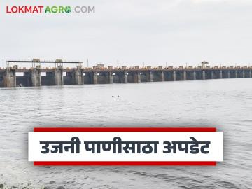 उजनी धरणाच्या पाणी पातळीत सातत्याने वाढ; आजमितीला धरणात किती पाणीसाठा? - Marathi News | Water level of Ujani Dam continues to rise; How much water is currently stored in the dam? | Latest News at Lokmat.com उजनी धरणाच्या पाणी पातळीत सातत्याने वाढ; आजमितीला धरणात किती पाणीसाठा? - Marathi News | Water level of Ujani Dam continues to rise; How much water is currently stored in the dam? | Latest News at Lokmat.com