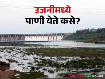 Ujani Dam: उजनी धरणात कुठून येतं पाणी.. वाचा उजनीत येणाऱ्या पाण्याचा प्रवास - Marathi News | Ujani Dam: Where does the water come from in Ujani Dam.. Read the journey of water coming into Ujani Dam | Latest News at Lokmat.com