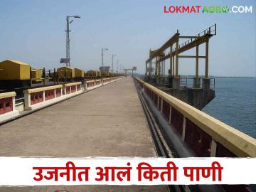 Ujani Dam पावसाची विश्रांती जून अखेर उजनीत आलं किती पाणी - Marathi News | Ujani Dam Respite from rain How much water came in Ujani Dam at the end of June | Latest News at Lokmat.com