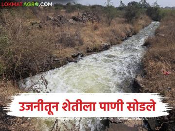 एकरूख योजनेतून उजनीचे पाणी कुरनूर धरणात सोडले; अजून किती दिवस सुरु राहणार कॅनाॅल? - Marathi News | Ujni water released into Kurnur dam through Ekrukh scheme; How long will the canal continue to operate? | Latest News at Lokmat.com एकरूख योजनेतून उजनीचे पाणी कुरनूर धरणात सोडले; अजून किती दिवस सुरु राहणार कॅनाॅल? - Marathi News | Ujni water released into Kurnur dam through Ekrukh scheme; How long will the canal continue to operate? | Latest News at Lokmat.com