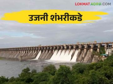 Ujani Dam Water Level: उजनीत मिसळणारी १६ धरणे ओव्हरफ्लो जाणून घ्या उजनीची पाणीपातळी - Marathi News | Ujani Dam Water Level: overflow of 16 dams which is mixing in Ujani dam | Latest News at Lokmat.com