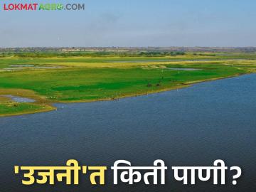 Ujani Dam Water Level : 'उजनी'तील पाणी घटले; धरणाची पाणी पातळी किती टक्क्यांवर? - Marathi News | Ujani Dam Water Level : Water level in 'Ujani' has decreased; What percentage is the water level of the dam? | Latest News at Lokmat.com Ujani Dam Water Level : 'उजनी'तील पाणी घटले; धरणाची पाणी पातळी किती टक्क्यांवर? - Marathi News | Ujani Dam Water Level : Water level in 'Ujani' has decreased; What percentage is the water level of the dam? | Latest News at Lokmat.com