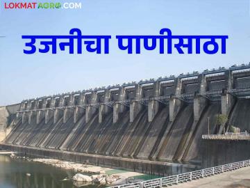 दौंडमधून साडेपाच हजार क्युसेक पाण्याचा विसर्ग, उजनीच्या पाणीसाठ्यात वाढ - Marathi News | Discharge of five and a half thousand cusecs of water from Daund, increase in water storage of Uajni | Latest News at Lokmat.com