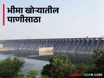महाराष्ट्रातील सर्वात मोठं हे धरण कधी भरणार - Marathi News | When will be this largest dam in Maharashtra filled? | Latest News at Lokmat.com