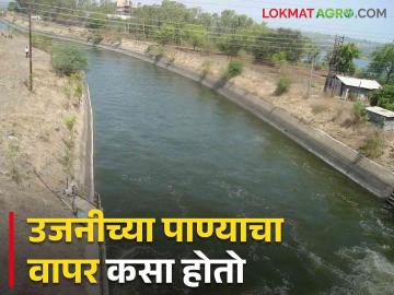 Ujani Dam Water Distribution : उजनी धरण शंभर टक्के भरले कशी केली जाते पाण्याची वाटप अन् किती होते बाष्पीभवन - Marathi News | Ujani Dam Water Distribution : Ujani Dam 100 percent full, how to water is distributed and how much evaporation occurs | Latest News at Lokmat.com Ujani Dam Water Distribution : उजनी धरण शंभर टक्के भरले कशी केली जाते पाण्याची वाटप अन् किती होते बाष्पीभवन - Marathi News | Ujani Dam Water Distribution : Ujani Dam 100 percent full, how to water is distributed and how much evaporation occurs | Latest News at Lokmat.com