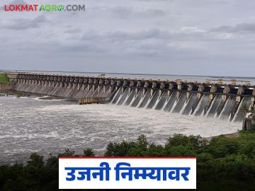 उजनी यंदा मायनसमध्ये जाणार का? मागील वर्षीच्या तुलनेत आजमितीला धरणात किती पाणीसाठा? - Marathi News | Will Ujani go into minus this year? How much water is in the dam now compared to last year? | Latest News at Lokmat.com