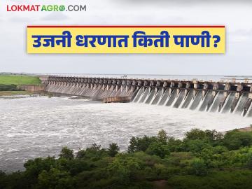 उजनी धरणातील पाणीसाठा झाला कमी; आजच्या तारखेला धरणात उरले किती पाणी? - Marathi News | Water storage in Ujani Dam has decreased; How much water is left in the dam as of today? | Latest weather News at Lokmat.com