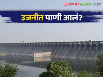 Uajni Dam उजनीच्या पाणलोट क्षेत्रातील पावसाने धरणाची पाणीपातळी स्थिरच - Marathi News | Uajni Dam; The water level of the dam is stable due to rain in the catchment area of Uajni | Latest News at Lokmat.com