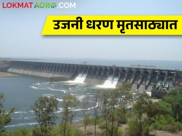 उजनी धरणात उपयुक्त पाणीसाठा केवळ दीड टीएमसी शिल्लक - Marathi News | Only one and a half TMC of useful water storage remains in Ujani Dam | Latest News at Lokmat.com