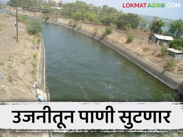 Ujani Dam Water : उजनीतून भीमा नदी, दोन कालव्यांत शेतीसाठी लवकरच पाणी सोडणार - Marathi News | Ujani Dam Water : Water will be released from ujani dam for agriculture in bhima river and two canals | Latest News at Lokmat.com