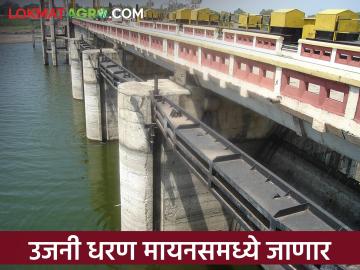 उजनीची पाणीपातळी चिंताजनक; केवळ १७ टक्के पाणीसाठा - Marathi News | Ujni's water level alarming; Only 17 percent water storage | Latest News at Lokmat.com
