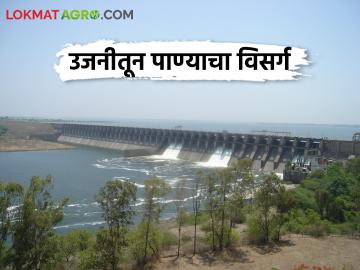 Ujani Dam उजनीतून सहा हजार क्युसेक पाणी सोडले - Marathi News | Released six thousand cusecs of water from Ujani dam | Latest News at Lokmat.com