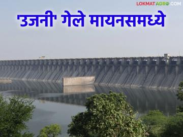 Ujani Dam Minus : उजनी धरणाचा पाणीसाठा गेला मृतसाठ्यामध्ये; सर्व योजनांचे पाणी होणार बंद - Marathi News | Ujani Dam Minus : Ujani Dam's water storage has gone into minus storage level; Water supply to all schemes will be closed | Latest News at Lokmat.com Ujani Dam Minus : उजनी धरणाचा पाणीसाठा गेला मृतसाठ्यामध्ये; सर्व योजनांचे पाणी होणार बंद - Marathi News | Ujani Dam Minus : Ujani Dam's water storage has gone into minus storage level; Water supply to all schemes will be closed | Latest News at Lokmat.com